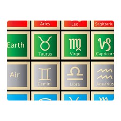 Set Of The Twelve Signs Of The Zodiac Astrology Birth Symbols Double Sided Flano Blanket (mini) 