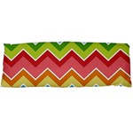 Colorful Background Of Chevrons Zigzag Pattern Body Pillow Case (Dakimakura) Body Pillow Case