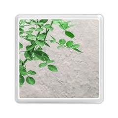 Plants Over Wall Memory Card Reader (square)  by dflcprints