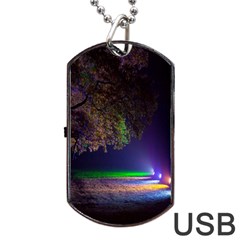 Illuminated Trees At Night Dog Tag Usb Flash (one Side) by Nexatart