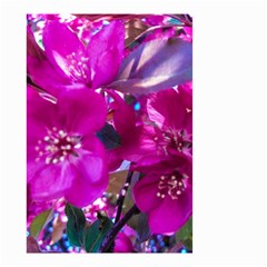 Pretty In Fuchsia Small Garden Flag (two Sides) by dawnsiegler