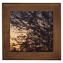 Arizona Sunset Framed Tiles by JellyMooseBear