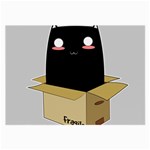 Black Cat in a Box Large Glasses Cloth Front