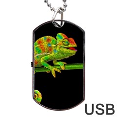 Chameleons Dog Tag Usb Flash (two Sides) by Valentinaart