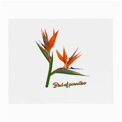 Bird Of Paradise Small Glasses Cloth (2-side) by Valentinaart