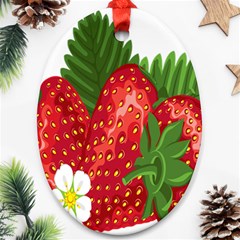 Strawberry Red Seed Leaf Green Ornament (oval) by Mariart