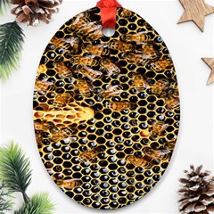 Queen Cup Honeycomb Honey Bee Oval Ornament (two Sides) by BangZart