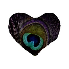 Peacock Feather Standard 16  Premium Heart Shape Cushions by BangZart