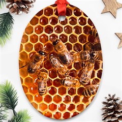 Honey Bees Oval Ornament (two Sides) by BangZart