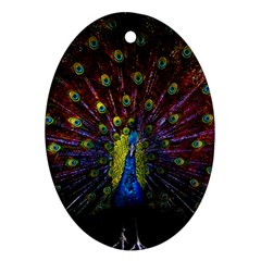 Beautiful Peacock Feather Ornament (oval) by BangZart