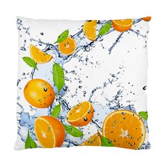 Fruits Water Vegetables Food Standard Cushion Case (two Sides) by BangZart