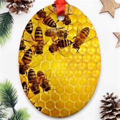 Honey Honeycomb Ornament (oval) by BangZart