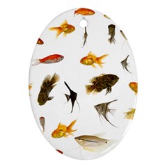 Goldfish Ornament (oval) by BangZart