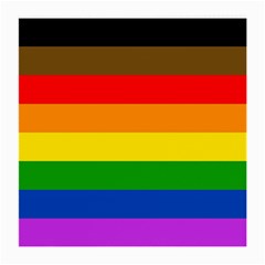 Philadelphia Pride Flag Medium Glasses Cloth by Valentinaart