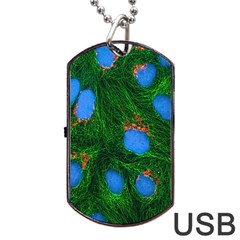 Fluorescence Microscopy Green Blue Dog Tag Usb Flash (one Side)