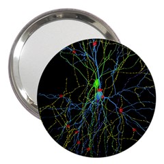 Synaptic Connections Between Pyramida Neurons And Gabaergic Interneurons Were Labeled Biotin During 3  Handbag Mirrors by Mariart