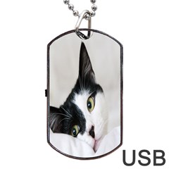 Cat Face Cute Black White Animals Dog Tag Usb Flash (one Side)