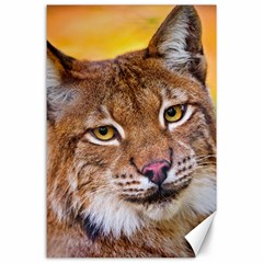 Tiger Beetle Lion Tiger Animals Canvas 24  X 36 