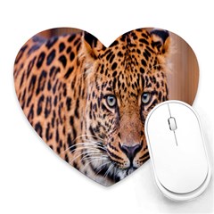 Tiger Beetle Lion Tiger Animals Leopard Heart Mousepads