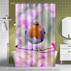 Spring Bird Bird Spring Robin Shower Curtain 48  X 72  (small)  by Celenk