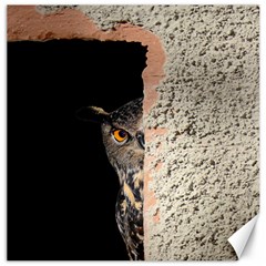 Owl Hiding Peeking Peeping Peek Canvas 16  X 16   by Celenk