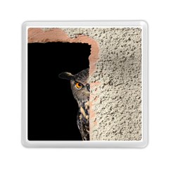 Owl Hiding Peeking Peeping Peek Memory Card Reader (square)  by Celenk