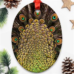 Peacock Feathers Wheel Plumage Oval Ornament (two Sides) by BangZart