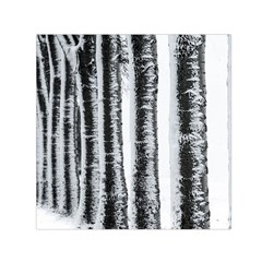 Row Trees Nature Birch Small Satin Scarf (square) by Celenk