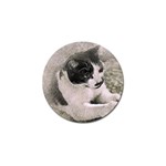 Cat Pet Art Abstract Vintage Golf Ball Marker (10 pack) Front