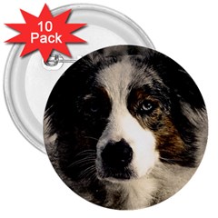 Dog Pet Art Abstract Vintage 3  Buttons (10 Pack)  by Celenk