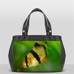 Tiger Barb Office Handbags by trendistuff