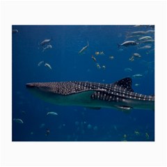 Whale Shark 1 Small Glasses Cloth (2-side) by trendistuff