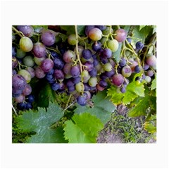 Grapes 2 Small Glasses Cloth (2-side) by trendistuff