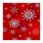 Christmas Pattern Medium Glasses Cloth (2-Side) Back