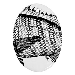 Animal Fish Ocean Sea Ornament (oval) by Nexatart