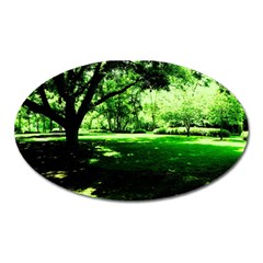 Lake Park 14 Oval Magnet by bestdesignintheworld