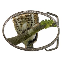 Owl Bird Belt Buckles by Sapixe