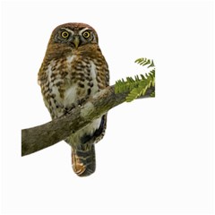 Owl Bird Small Garden Flag (two Sides) by Sapixe