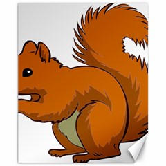 Squirrel Animal Pet Canvas 11  X 14   by Sapixe