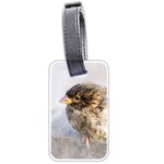 Funny Wet Sparrow Bird Luggage Tags (Two Sides) Front