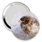 Funny Wet Sparrow Bird 3  Handbag Mirrors Front