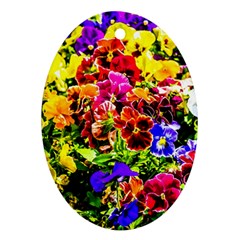 Viola Tricolor Flowers Oval Ornament (two Sides) by FunnyCow