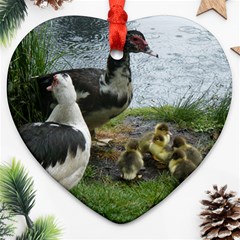 Muscovy Family Heart Ornament (two Sides) by IIPhotographyAndDesigns