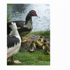 Muscovy Family Large Garden Flag (two Sides) by IIPhotographyAndDesigns