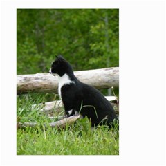 Farm Cat Large Garden Flag (two Sides) by IIPhotographyAndDesigns