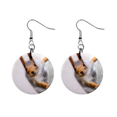 Curious Squirrel Mini Button Earrings by FunnyCow