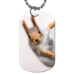 Curious Squirrel Dog Tag (one Side) by FunnyCow