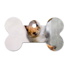 Curious Squirrel Dog Tag Bone (two Sides) by FunnyCow