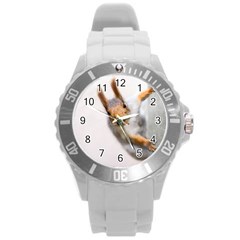 Curious Squirrel Round Plastic Sport Watch (l) by FunnyCow