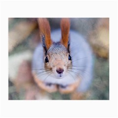 Squirrel Looks At You Small Glasses Cloth (2-side) by FunnyCow